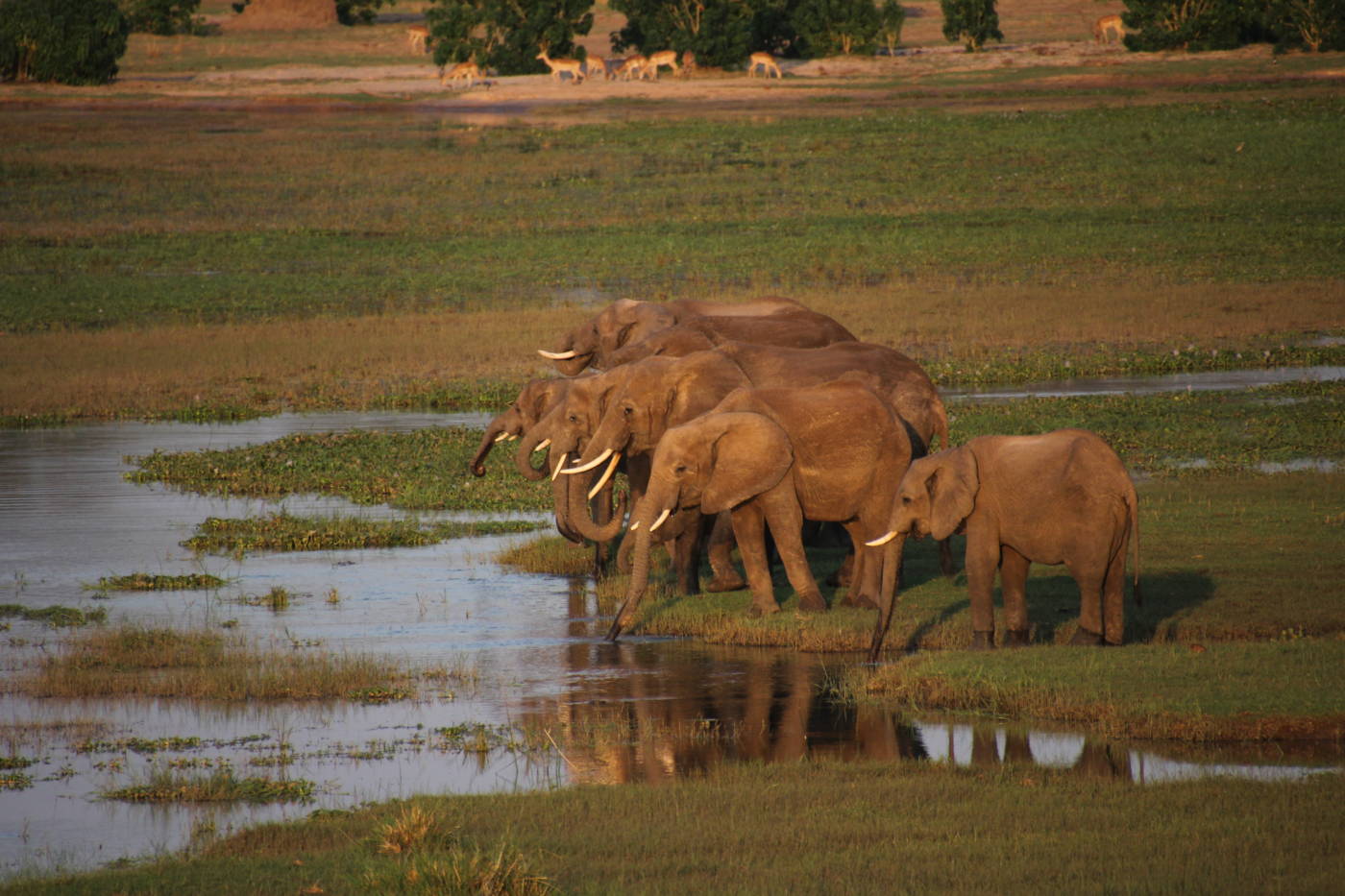 Middle Zambezi Biosphere Reserve