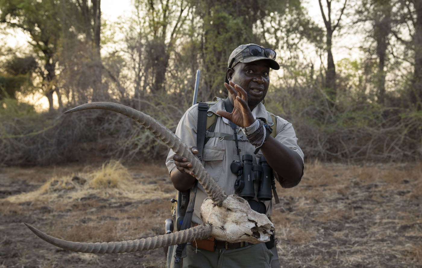 Zambezi Network - Great Plains Conservation