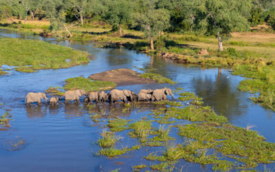 Kangaluwi Copper Mine in the Lower Zambezi National Park threatens the Zambezi Valley Basin, including Mana Pools