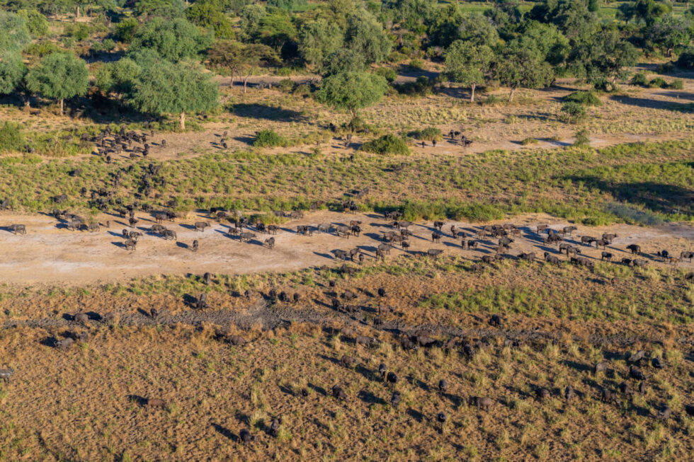 Kangaluwi Copper Mine In The Lower Zambezi National Park Threatens The 