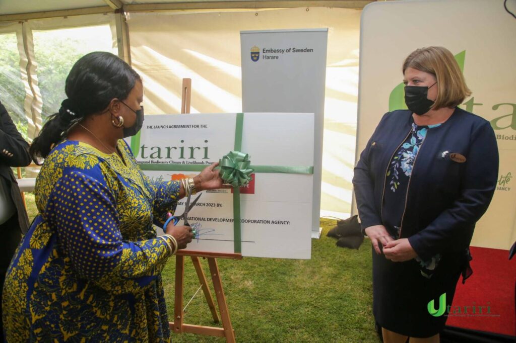 First lady of Zimbabwe endorses Utariri