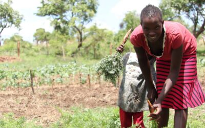 Middle-Lower Zambezi ‘Utariri’ Integrated Biodiversity, Climate Change and Livelihoods Programme officially launches.